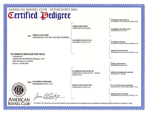 certified_pedigree