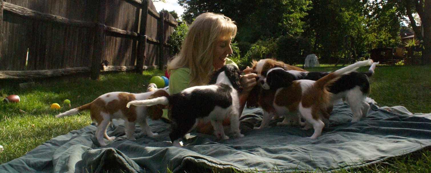 Playing with my puppies
